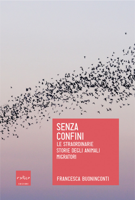 Francesca-Buoninconti-Senza-Confini-Le-Straordinarie-Storie-degli-Animali-Migratori-Anno-2019 Francesca-Buoninconti-Senza-Confini-Le-Straordinarie-Storie-degli-Animali-Migratori-Anno-2019